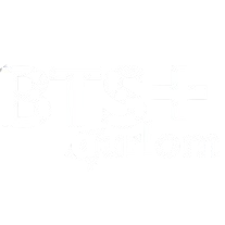 BDE-Aurlom-Nice